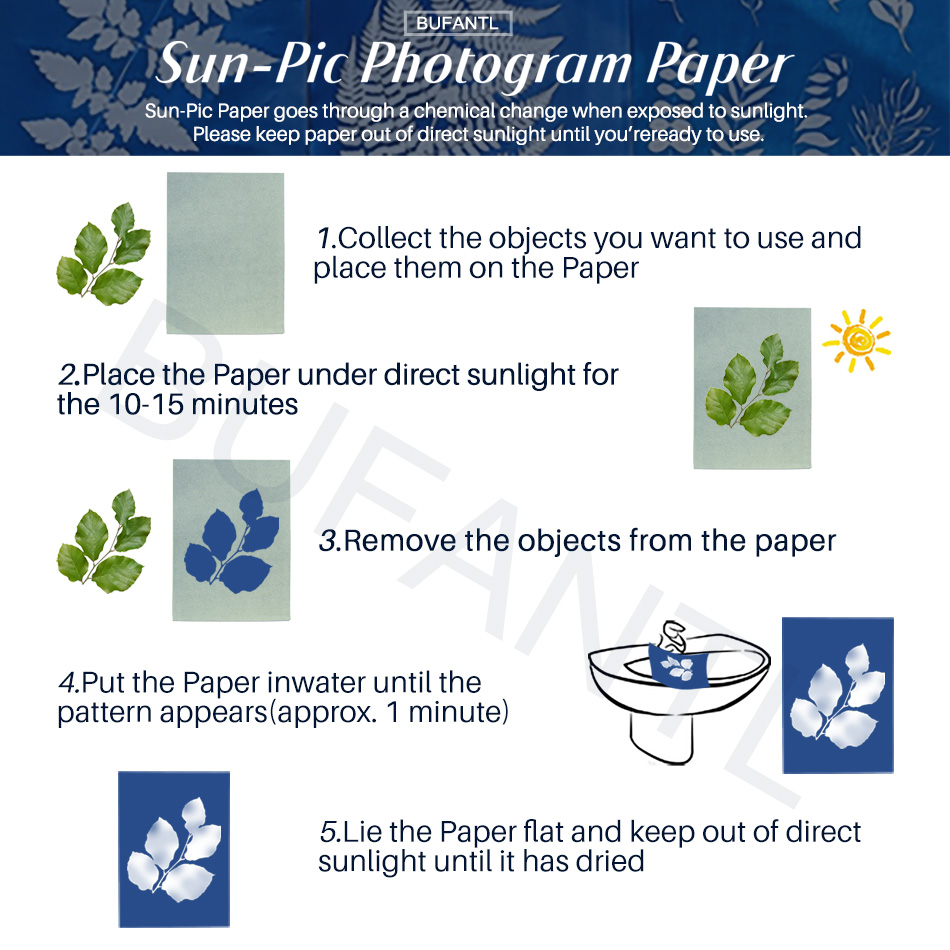 Kertas Cyanotype 12 Lembar Pak - Photography Lighting For Beginners ulasan dan harga